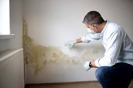 Best Emergency Mold Remediation  in Los Ranchos De Albuquerque, NM